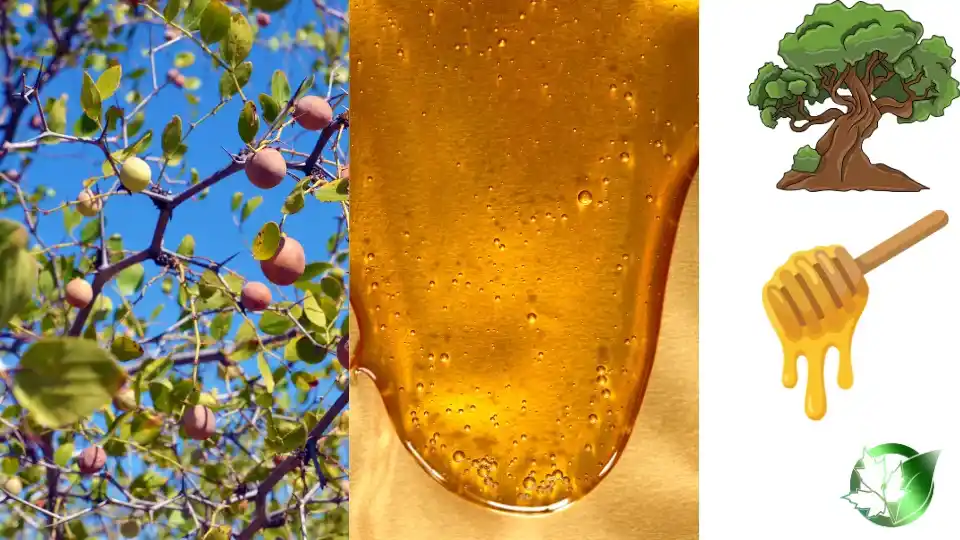 Supplier evaluation for Sidr Honey should cover specification, packaging, documentation, logistics, and landed commercial cost.